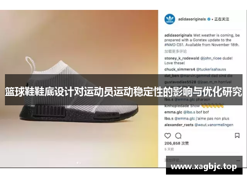篮球鞋鞋底设计对运动员运动稳定性的影响与优化研究