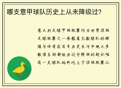 哪支意甲球队历史上从未降级过？