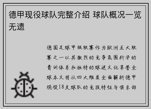 德甲现役球队完整介绍 球队概况一览无遗